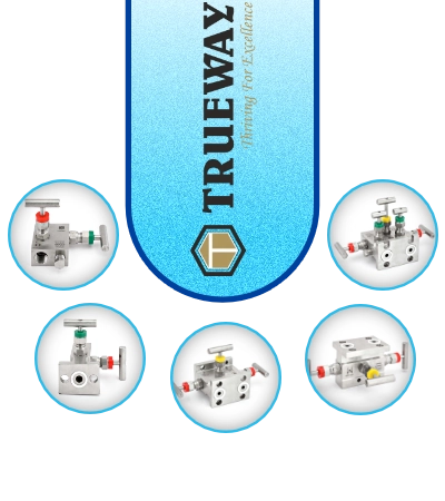 Manifold Valve India