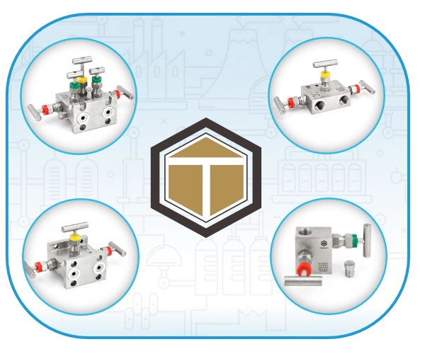 Manifold Valve Suppliers in India